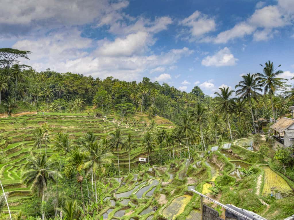 A Beginner’s Guide to Bali – Beautiful Island of the Gods