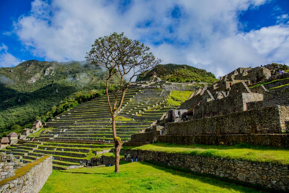 Explore the stunning terraces of Machu Picchu in Cuzco, Peru's Inca citadel.