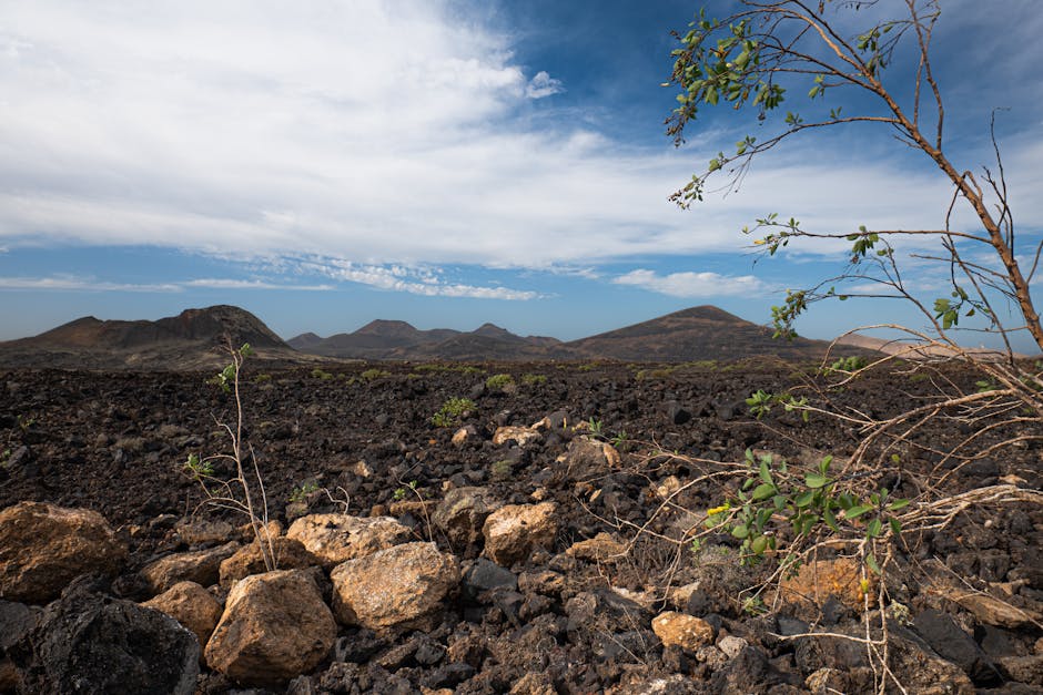 Rugged volcanic terrain under a bright sky in Lanzarote's unique landscape.