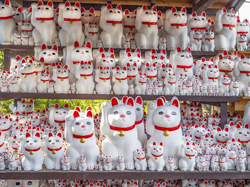 20 Most Instagrammable Places in Tokyo In 2025